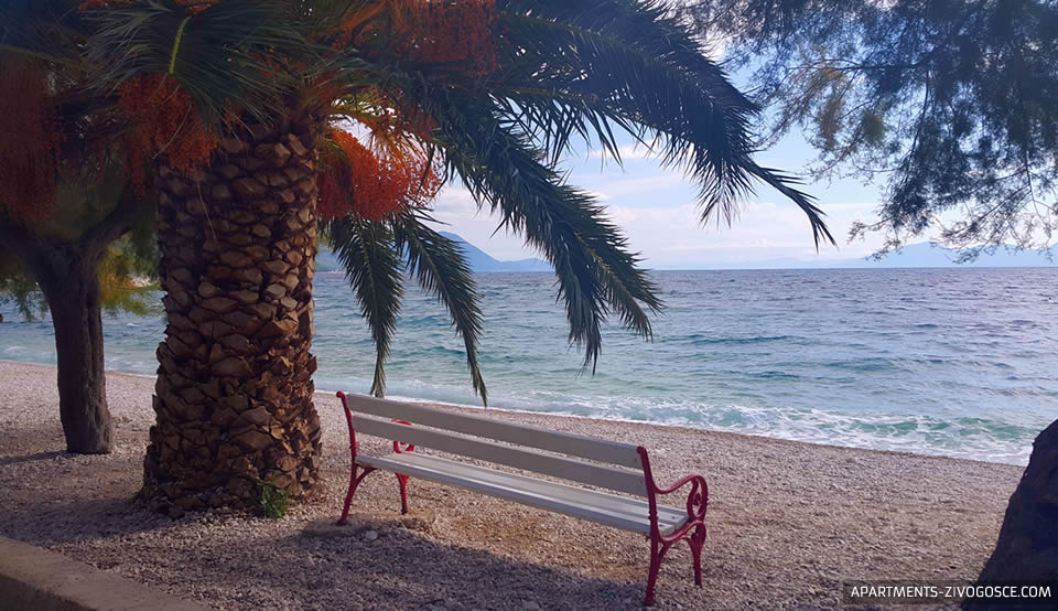 Živogošće Blato glavna plaža